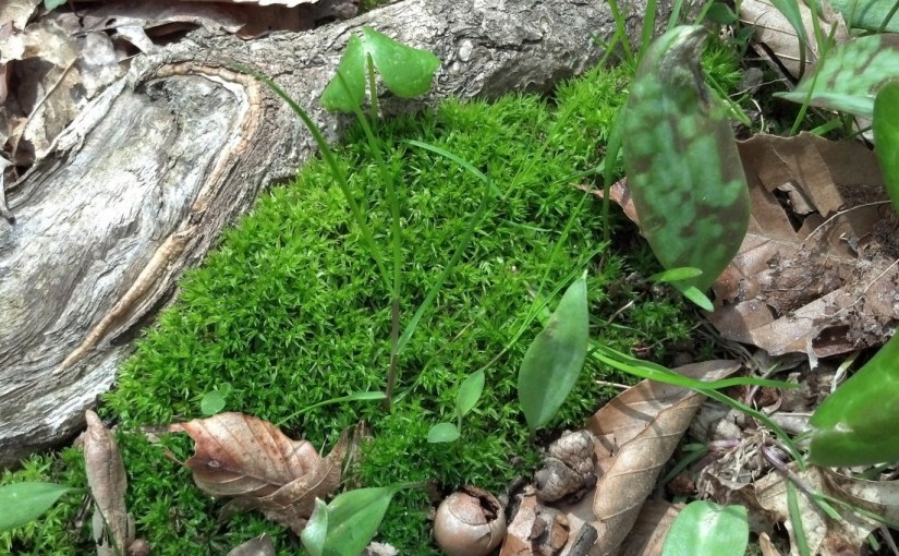 Don’t Forget to&nbsp;Breathe