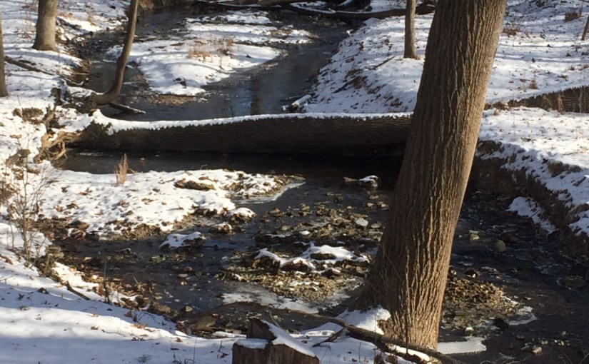 Emerging from the&nbsp;fog?